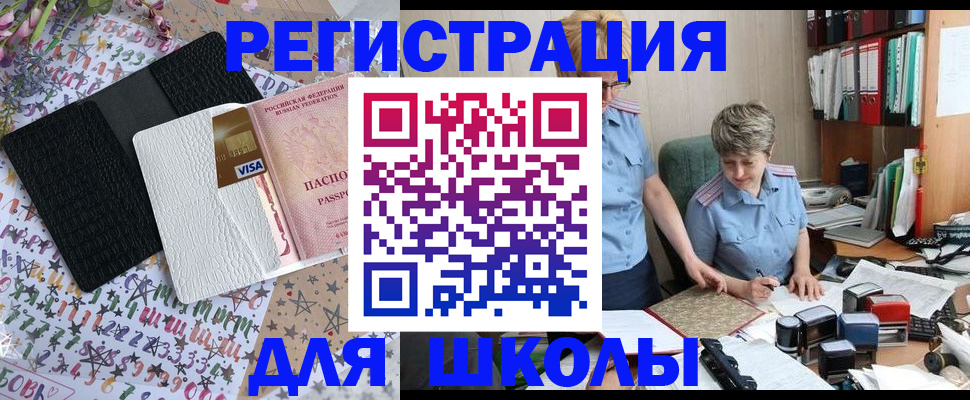 прописка штамп в Сольцах